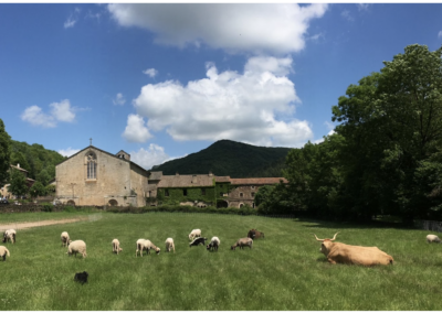 La Banque Transatlantique aux côtés de l’Abbaye de Sylvanès (Aveyron) depuis cinquante ans